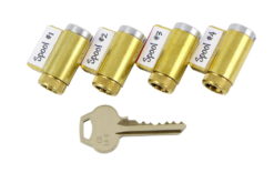 Progressive Training Locks - Advanced